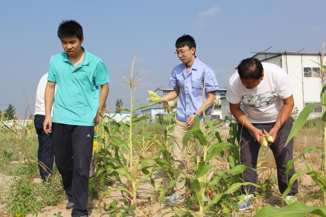 多彩生活——摘蔬菜、掰玉米